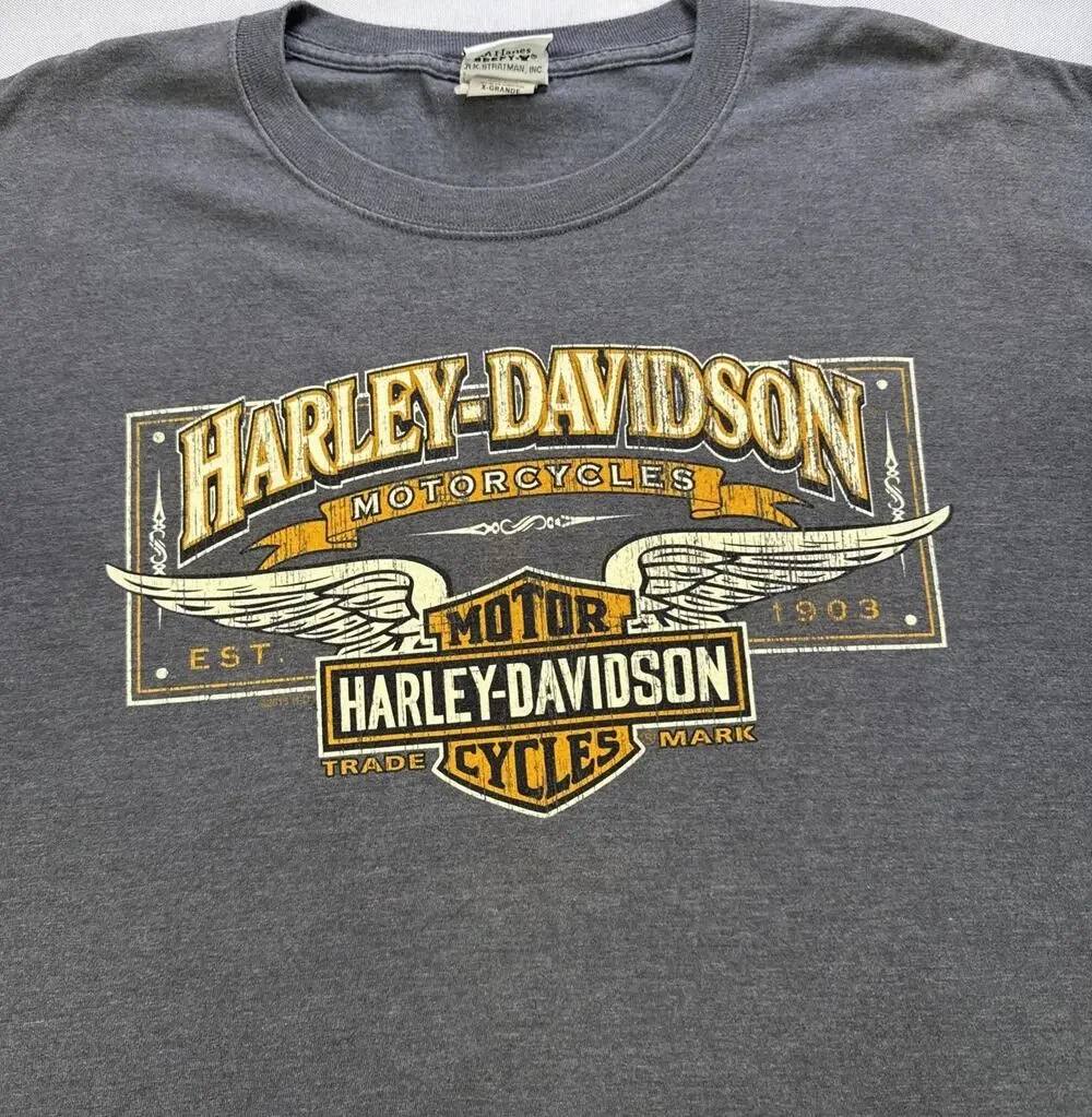 Harley-Davidson Motorcycle Chester’s Jackson Hole WY Graphic T-Shirt Gray XL LS